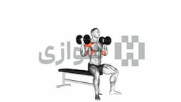 تصویر پرس آرنولد (دمبل)