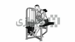 تصویر اکستنشن کمر (دستگاه)