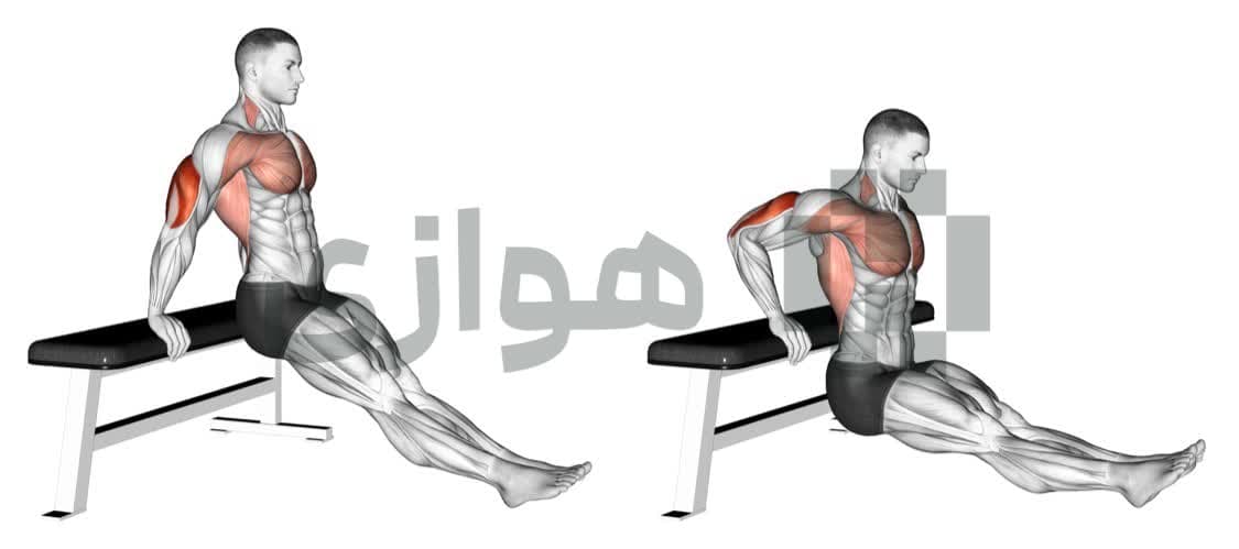 تصویر آموزش تمرین دیپ نیمکت - وزن بدن