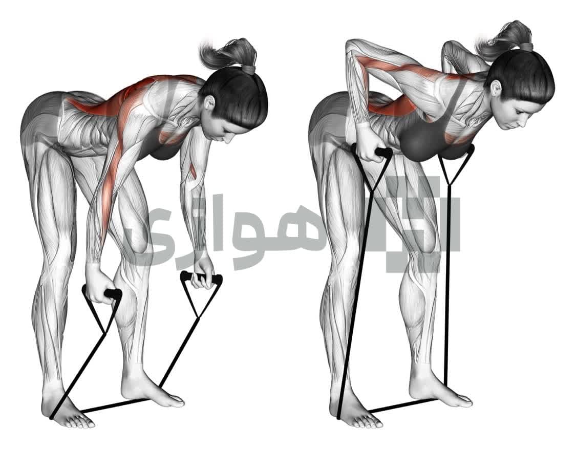 تصویر آموزش تمرین زیربغل خم (باند) - وزن بدن