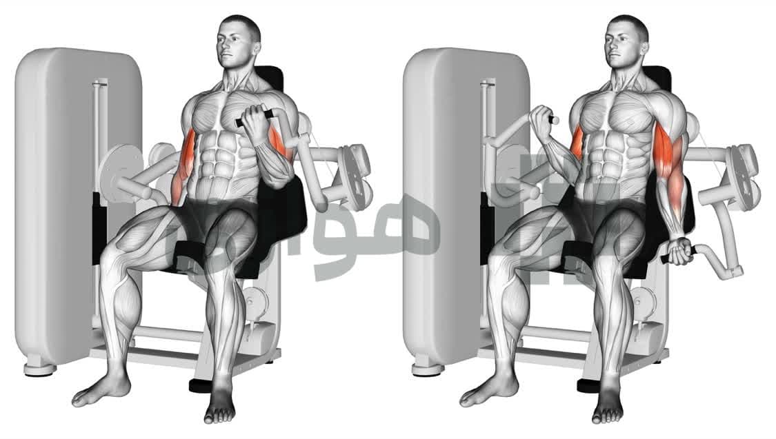 تصویر آموزش تمرین جلوبازو (دستگاه) - دستگاه