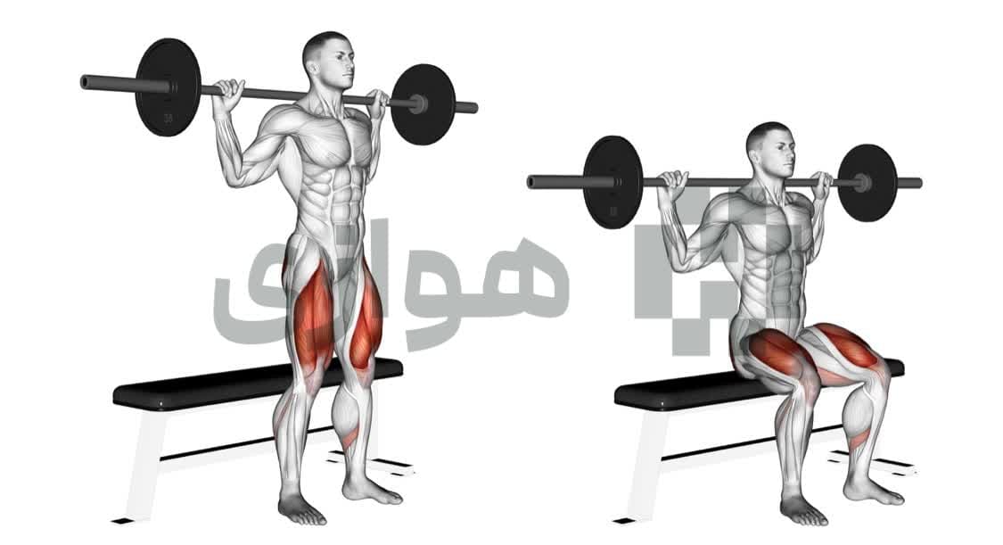 تصویر آموزش تمرین اسکوات با جعبه (هالتر) - هالتر