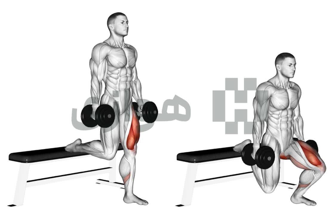 تصویر آموزش تمرین اسکات بلغاری - هالتر