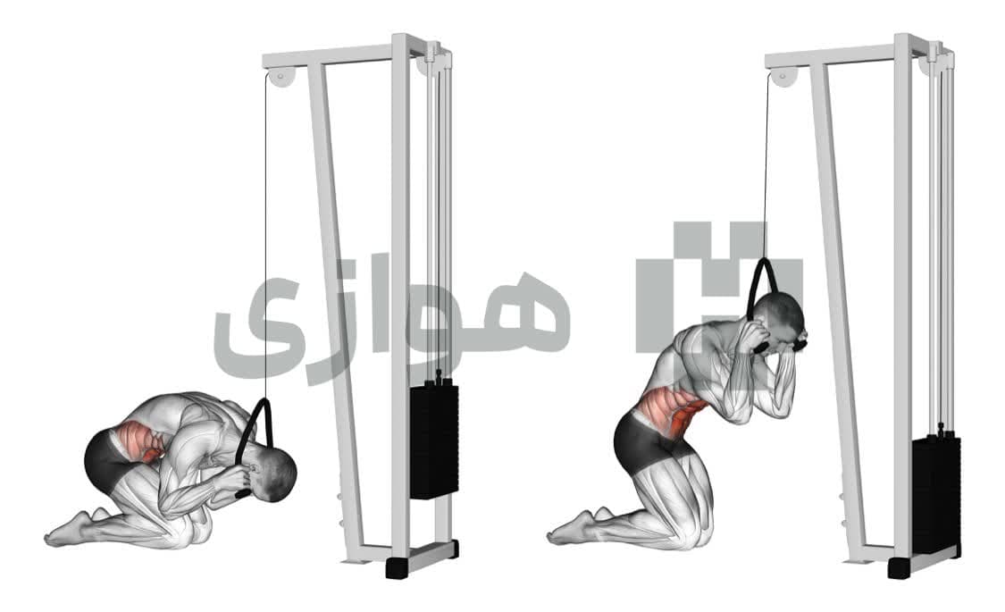 تصویر آموزش تمرین کرانچ سیم کش - دستگاه