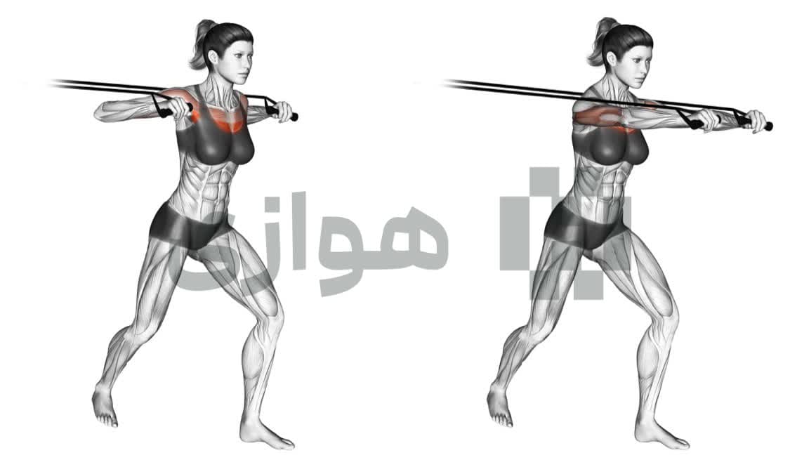 تصویر آموزش تمرین پرس سینه (باند) - وزن بدن