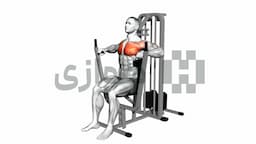 تصویر پرس سینه (دستگاه)