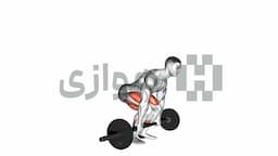 تصویر ددلیفت (هالتر)