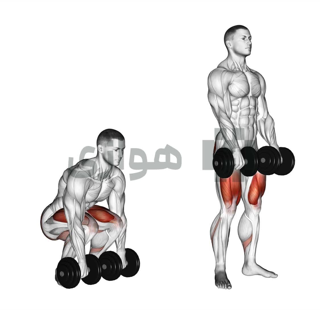 تصویر آموزش تمرین ددلیفت (دمبل) - دمبل