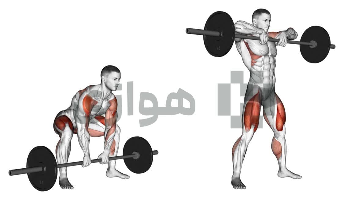 تصویر آموزش تمرین ددلیفت های پول (هالتر) - هالتر