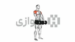 تصویر نشر جلو (دمبل)