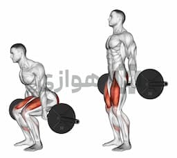 تصویر هاک اسکات (هالتر)