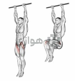 تصویر بالا آوردن زانو آویزان