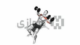 تصویر پرس سینه شیب دار (دمبل)