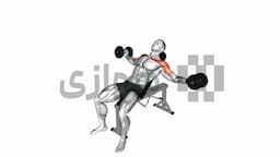 تصویر فلای سینه شیب دار (دمبل)