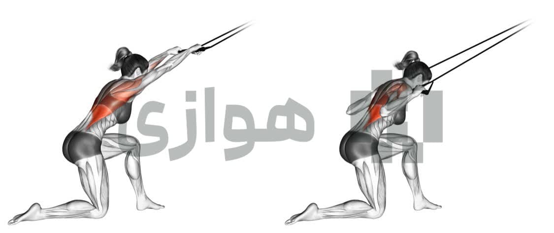تصویر آموزش تمرین زیربغل زانو زده (باند) - وزن بدن