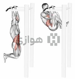 تصویر زانو به آرنج