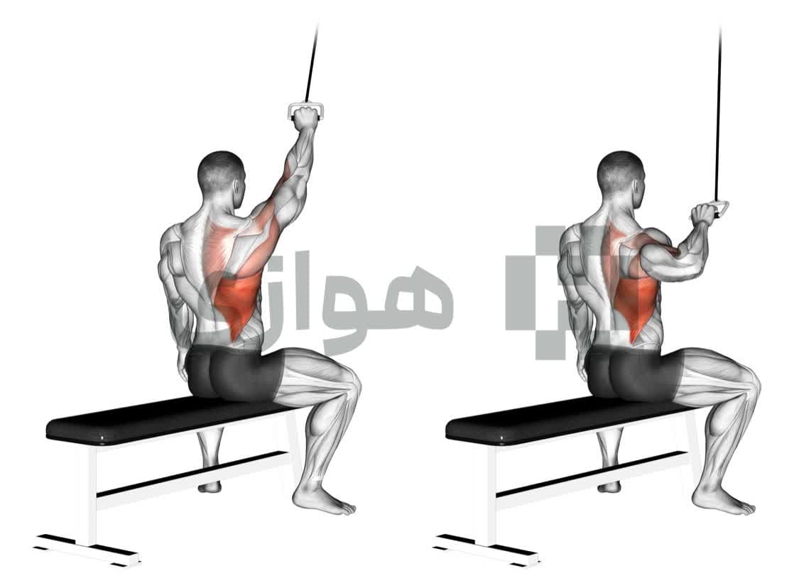 تصویر آموزش تمرین زیربغل تک دست (سیم کش) - دستگاه