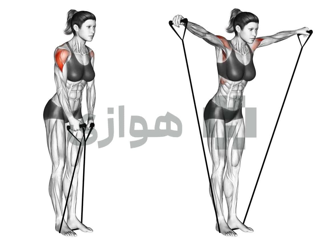 تصویر آموزش تمرین نشر جانب (باند) - وزن بدن