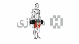 تصویر لانج (دمبل)