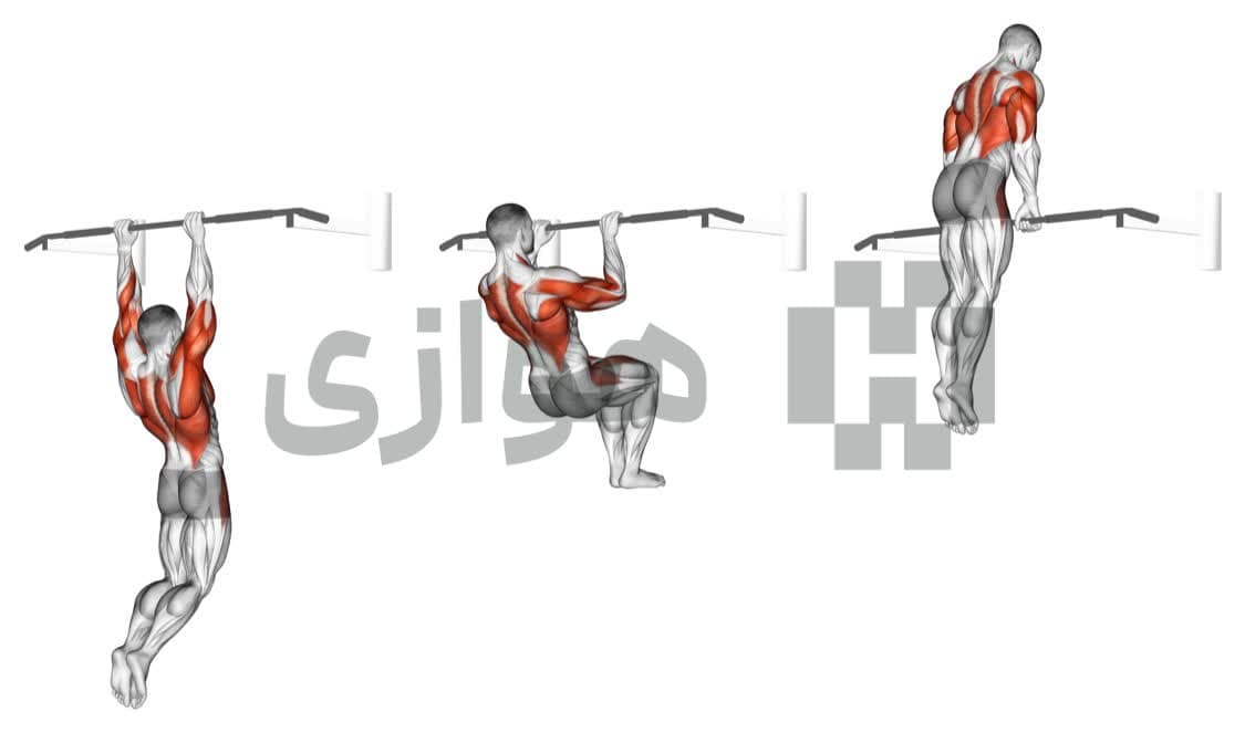 تصویر آموزش تمرین ماسل آپ - وزن بدن
