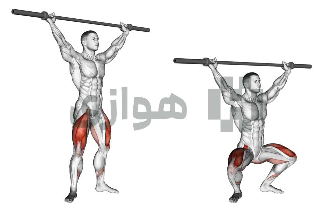 تصویر آموزش تمرین اسکوات بالای سر (هالتر) - هالتر