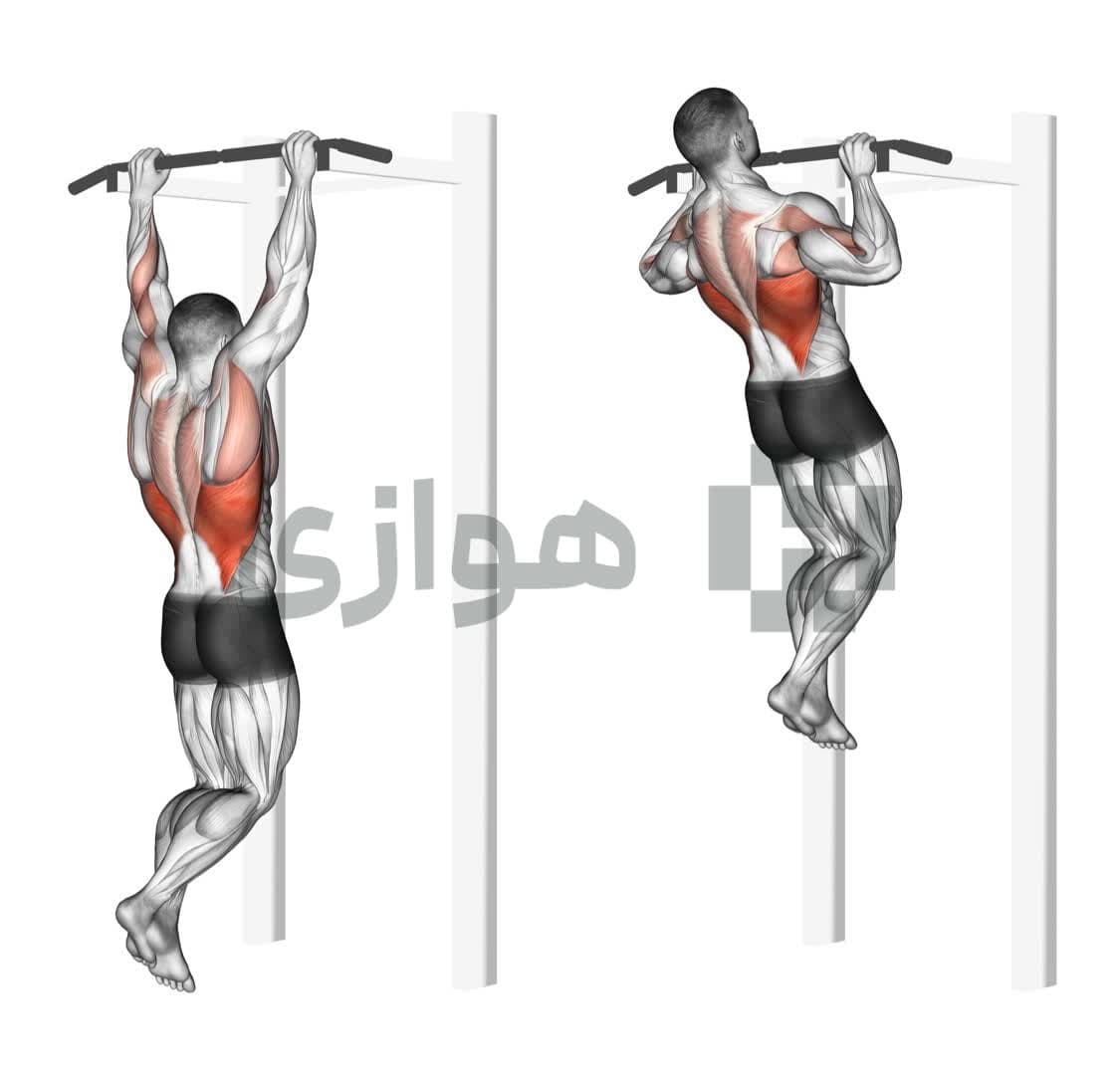 تصویر آموزش تمرین بارفیکس - وزن بدن