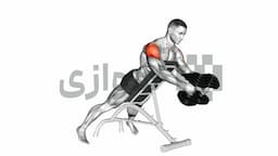 تصویر نشر معکوس (دمبل)
