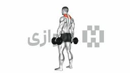 تصویر شراگ (دمبل)