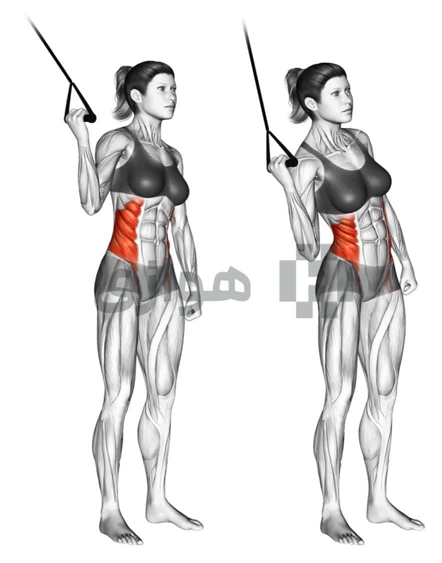 تصویر آموزش تمرین خم پهلو (باند) - ترکیبی