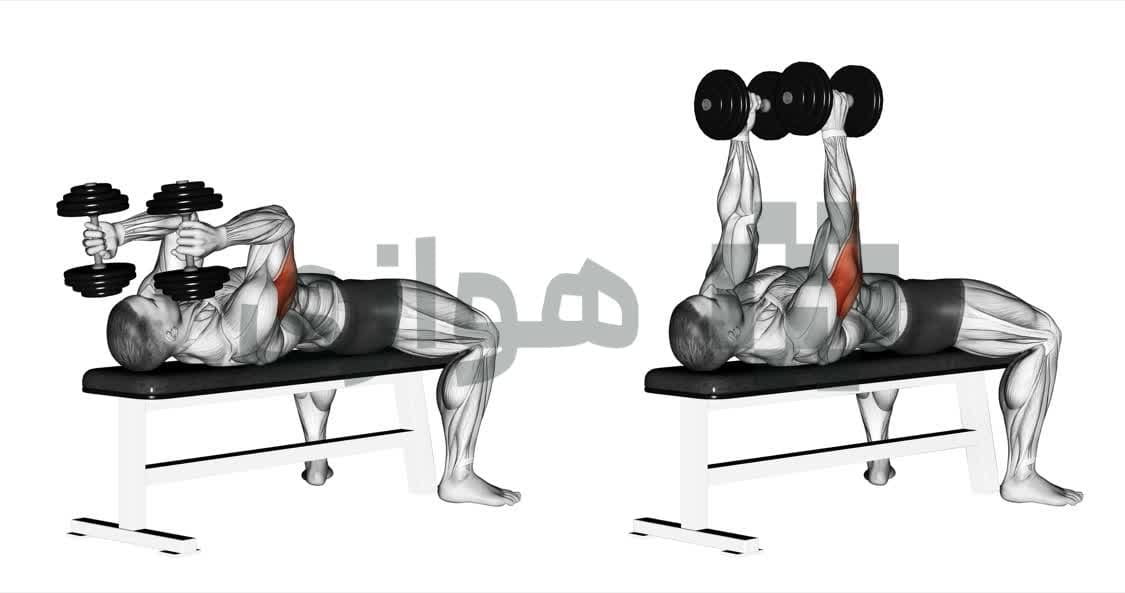تصویر آموزش تمرین جم کراشر (دمبل) - دمبل