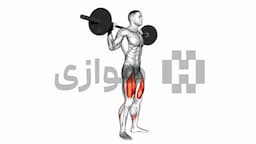 تصویر اسکوات (هالتر)