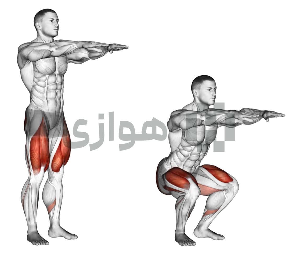 تصویر آموزش تمرین اسکات (بدون وزنه) - وزن بدن