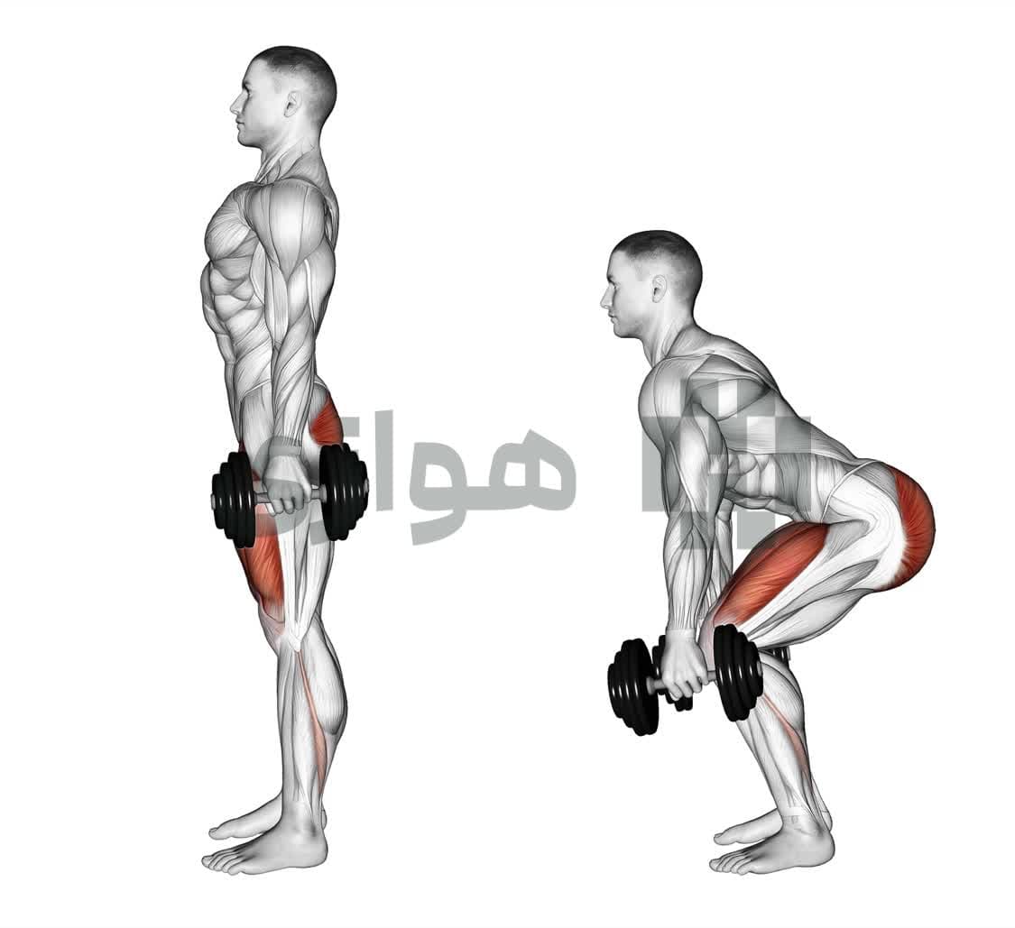 تصویر آموزش تمرین اسکات (دمبل) - دمبل