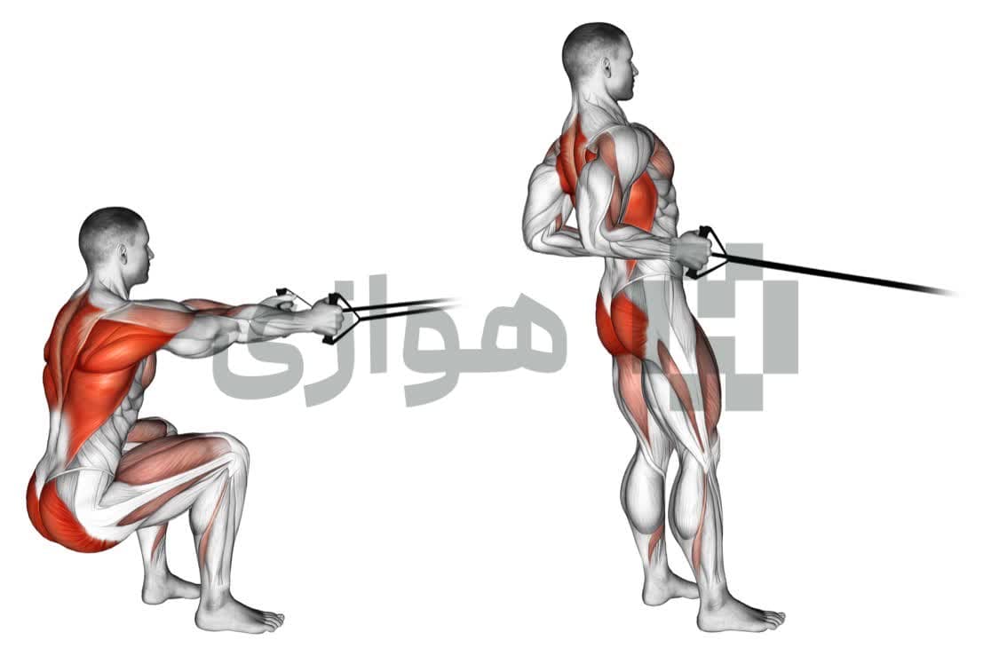تصویر آموزش تمرین اسکات ردیف با باند - ترکیبی
