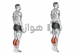 تصویر ساق پا ایستاده (با وزن بدن)