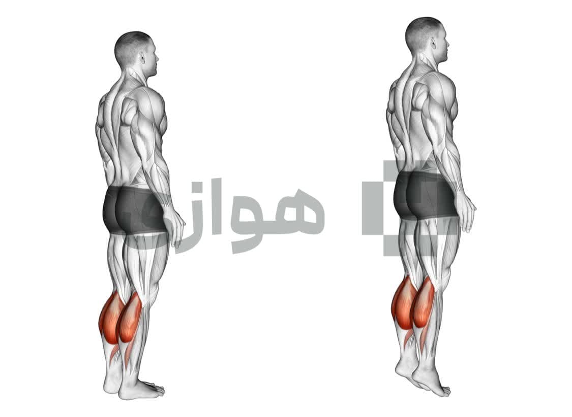 تصویر آموزش تمرین ساق پا ایستاده (با وزن بدن) - ترکیبی