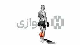 تصویر ساق پا ایستاده (دمبل)