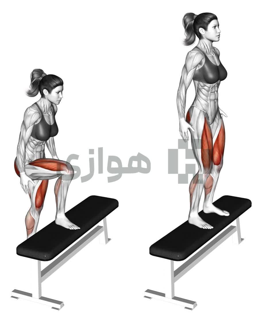 تصویر آموزش تمرین استپ آپ - ترکیبی