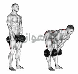 تصویر ددلیفت پا صاف (دمبل)