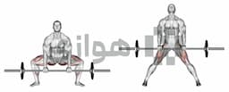 تصویر ددلیفت سومو (هالتر)