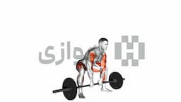 تصویر ددلیفت سومو های پول (هالتر)