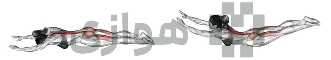 تصویر آموزش تمرین سوپرمن - ترکیبی
