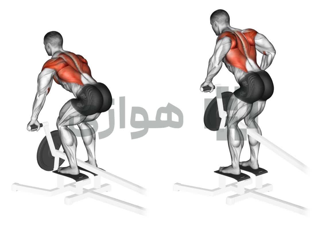تصویر آموزش تمرین زیربغل تی بار - دستگاه