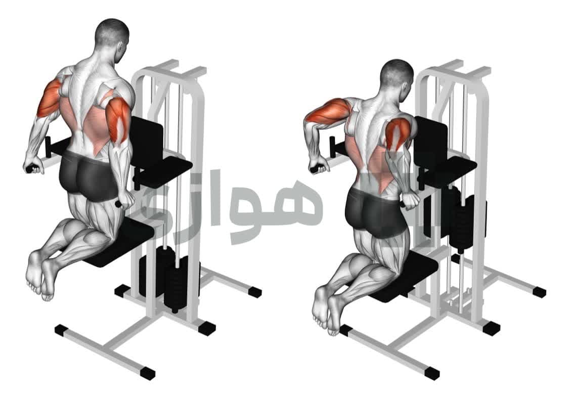 تصویر آموزش تمرین دیپ سه سر (با کمک) - دستگاه