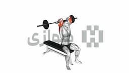 تصویر اکستنشن سه سر (هالتر)